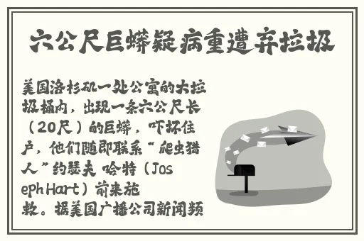 欧洲卡一卡二在线免费观看